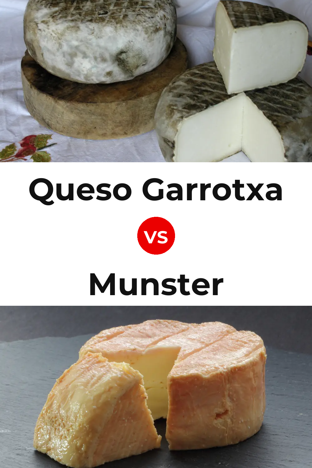 Queso Garrotxa vs Munster Cheese Pinterest comparison