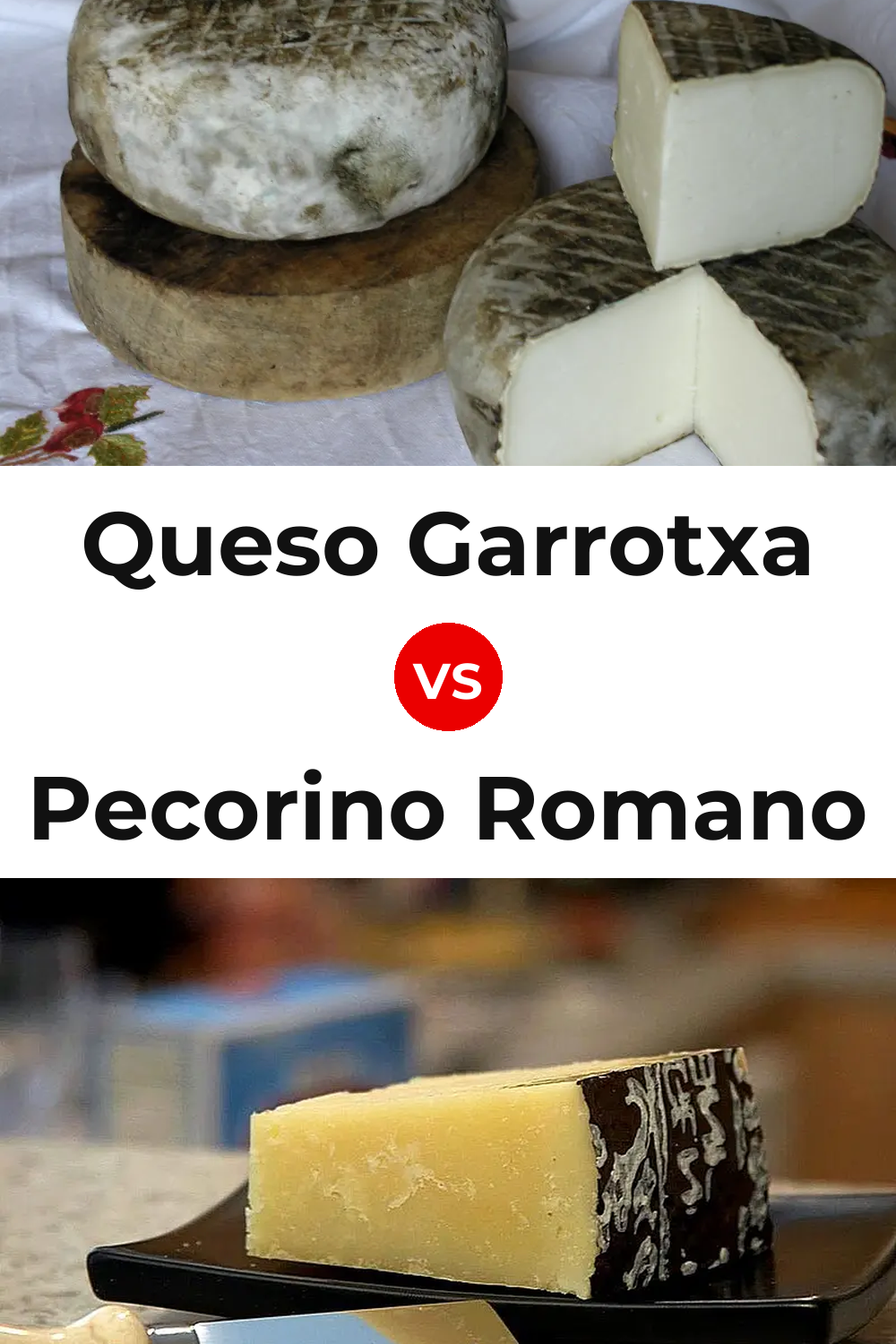 Queso Garrotxa vs Pecorino Romano Cheese Pinterest comparison