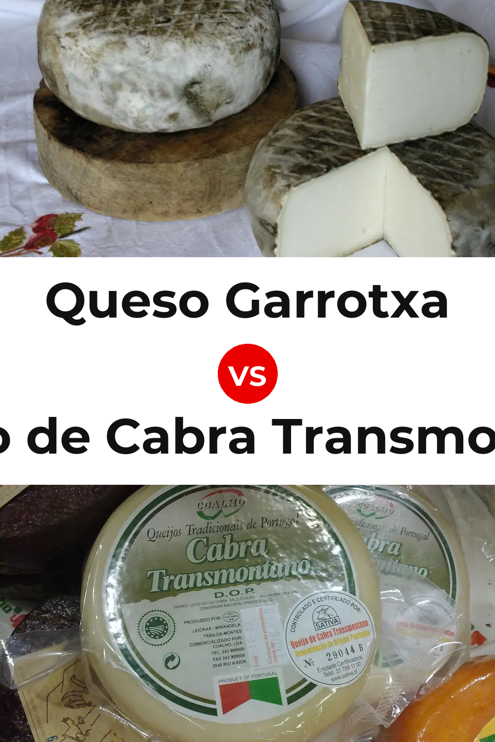 Queso Garrotxa vs Queijo de Cabra Transmontano Pinterest comparison