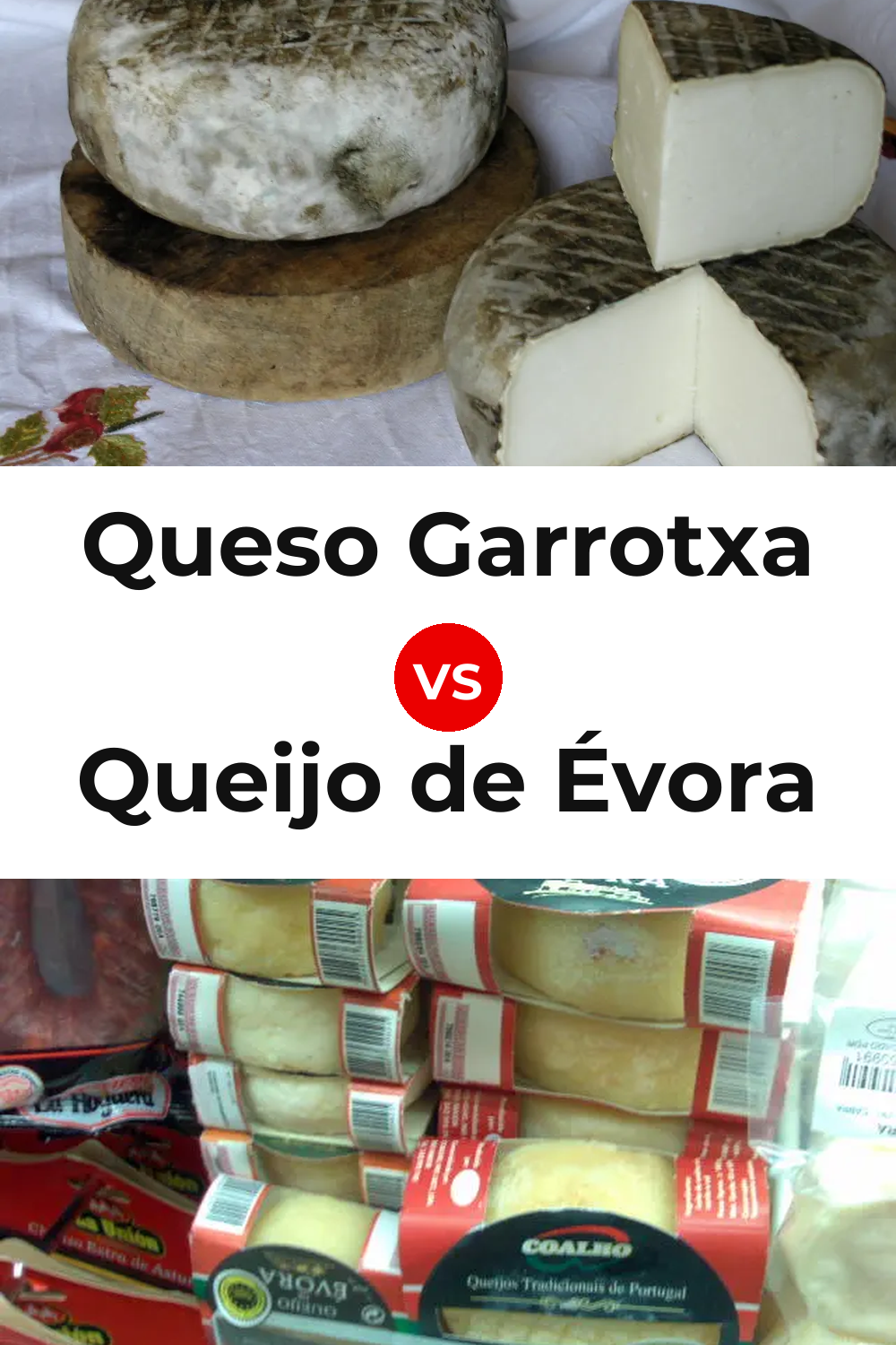 Queso Garrotxa vs Queijo de Évora Pinterest comparison