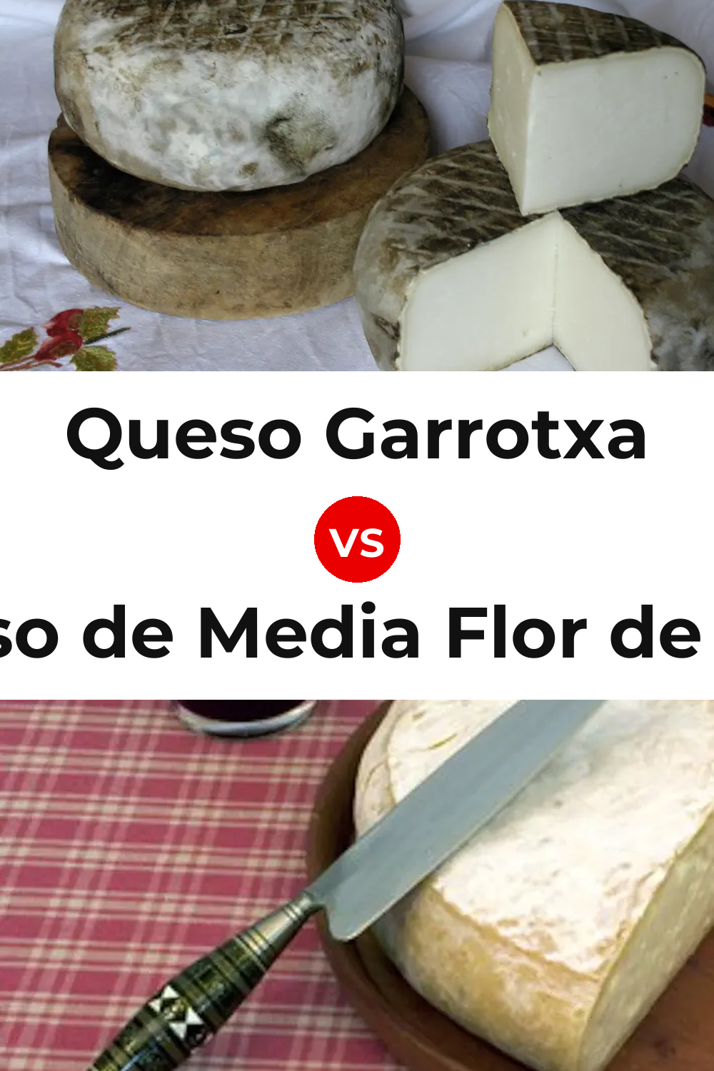 Queso Garrotxa vs Queso de Media Flor de Guía Pinterest comparison