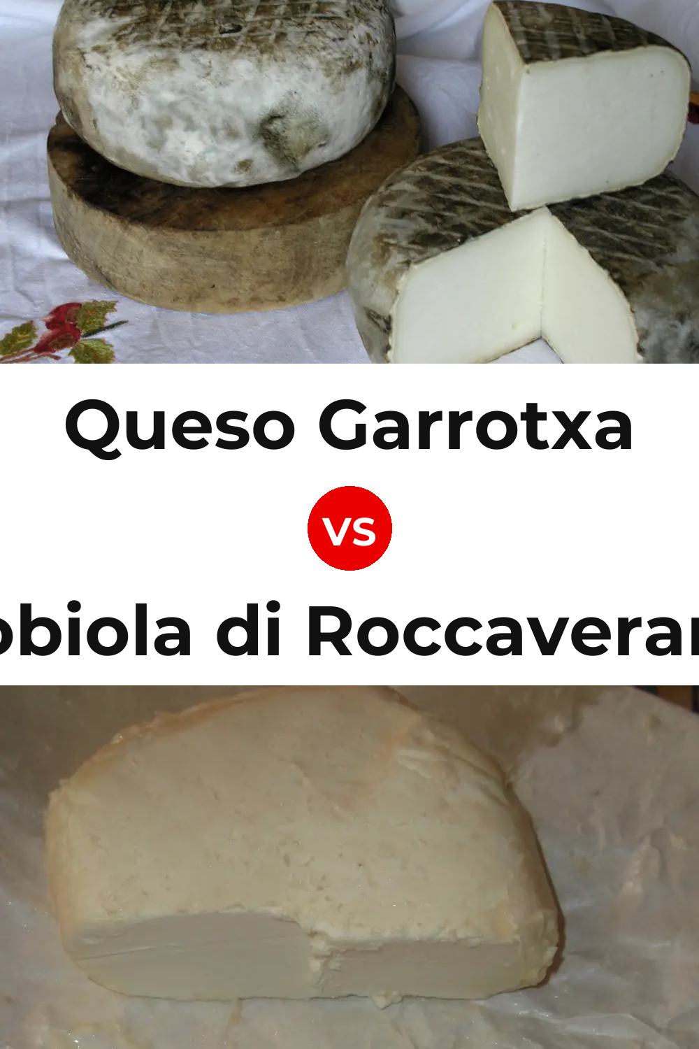 Queso Garrotxa vs Robiola di Roccaverano Cheese Pinterest comparison