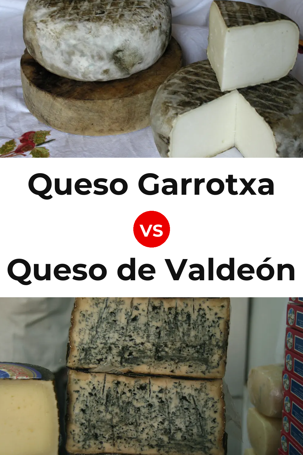 Queso Garrotxa vs Queso de Valdeón Pinterest comparison