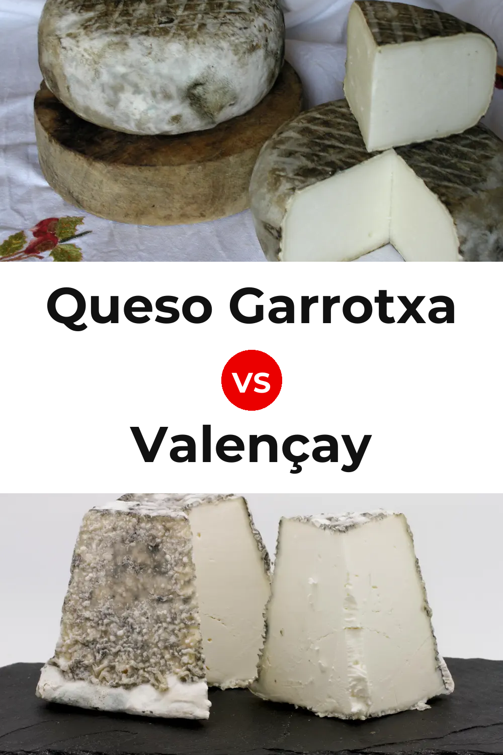 Queso Garrotxa vs Valençay Cheese Pinterest comparison