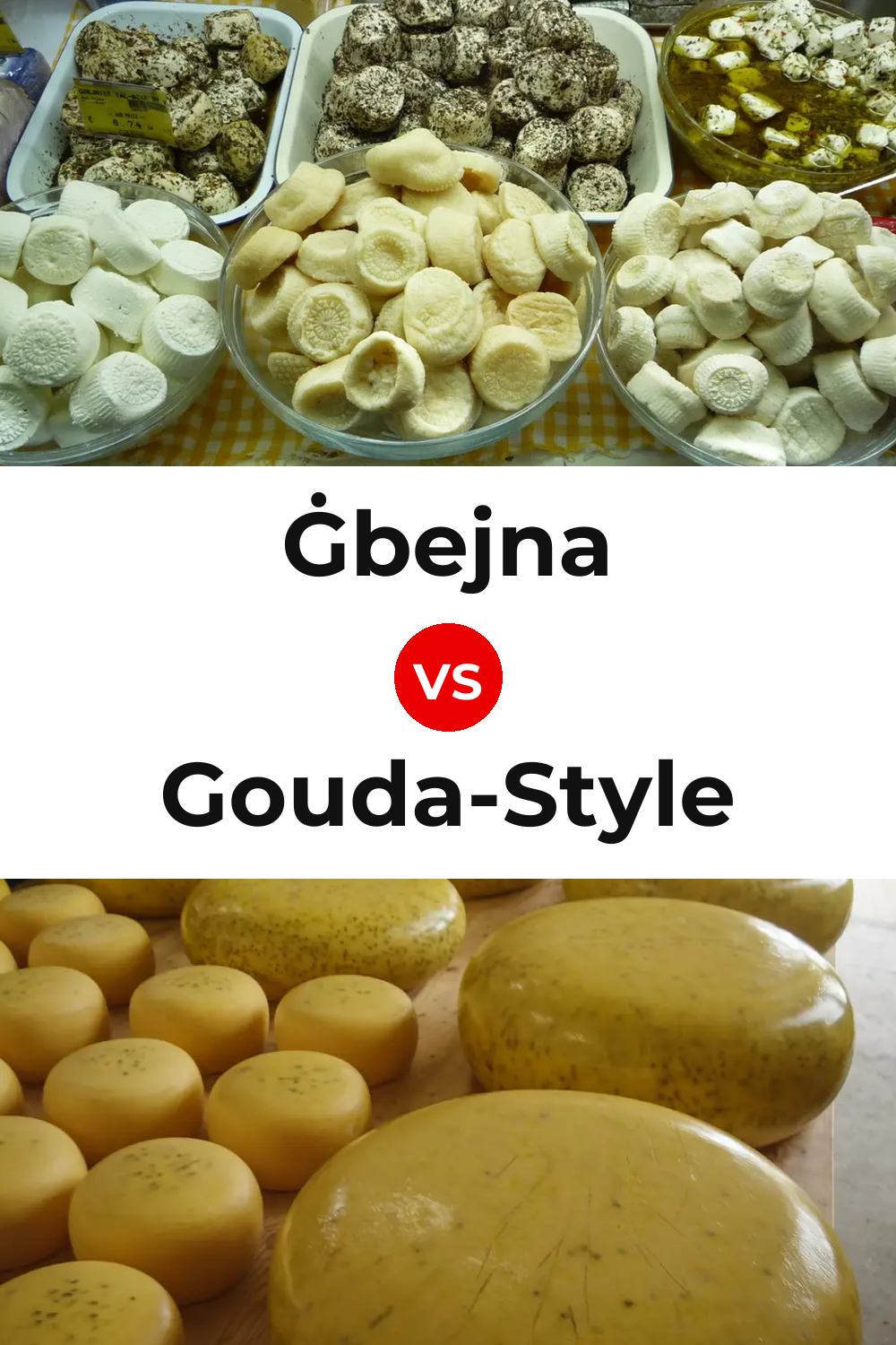 Ġbejna Cheese vs Gouda-Style Cheese Pinterest comparison