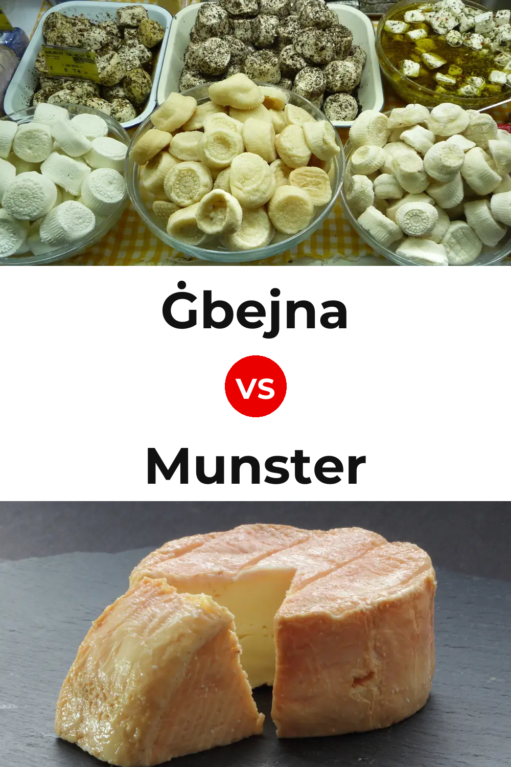 Ġbejna Cheese vs Munster Cheese Pinterest comparison