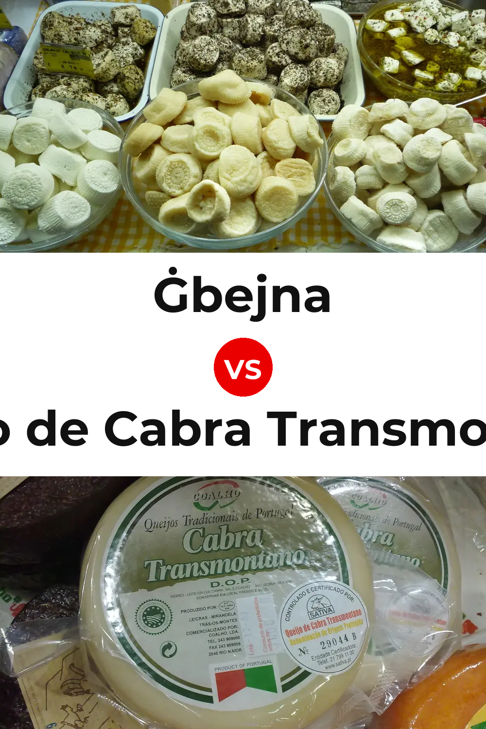 Ġbejna Cheese vs Queijo de Cabra Transmontano Pinterest comparison