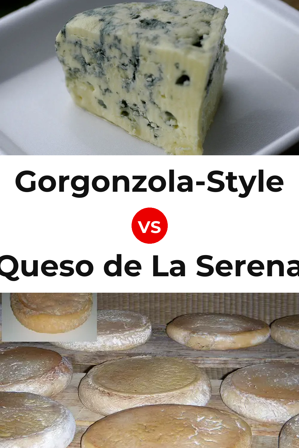 Gorgonzola-Style Cheese vs Queso de La Serena Pinterest comparison
