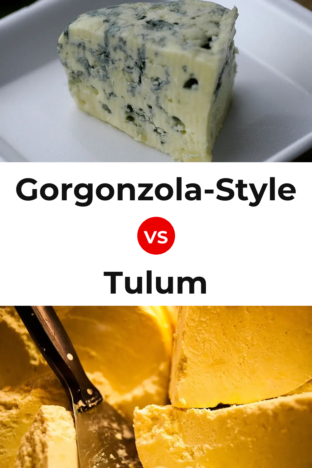 Gorgonzola-Style Cheese vs Tulum Cheese Pinterest comparison