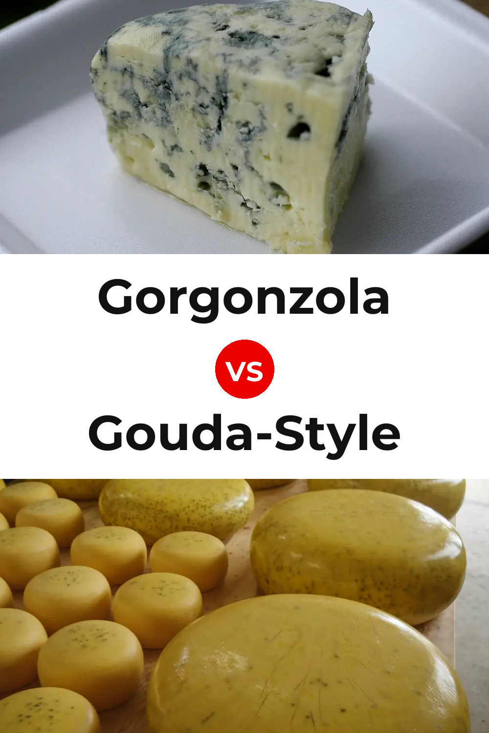 Gorgonzola Cheese vs Gouda-Style Cheese Pinterest comparison