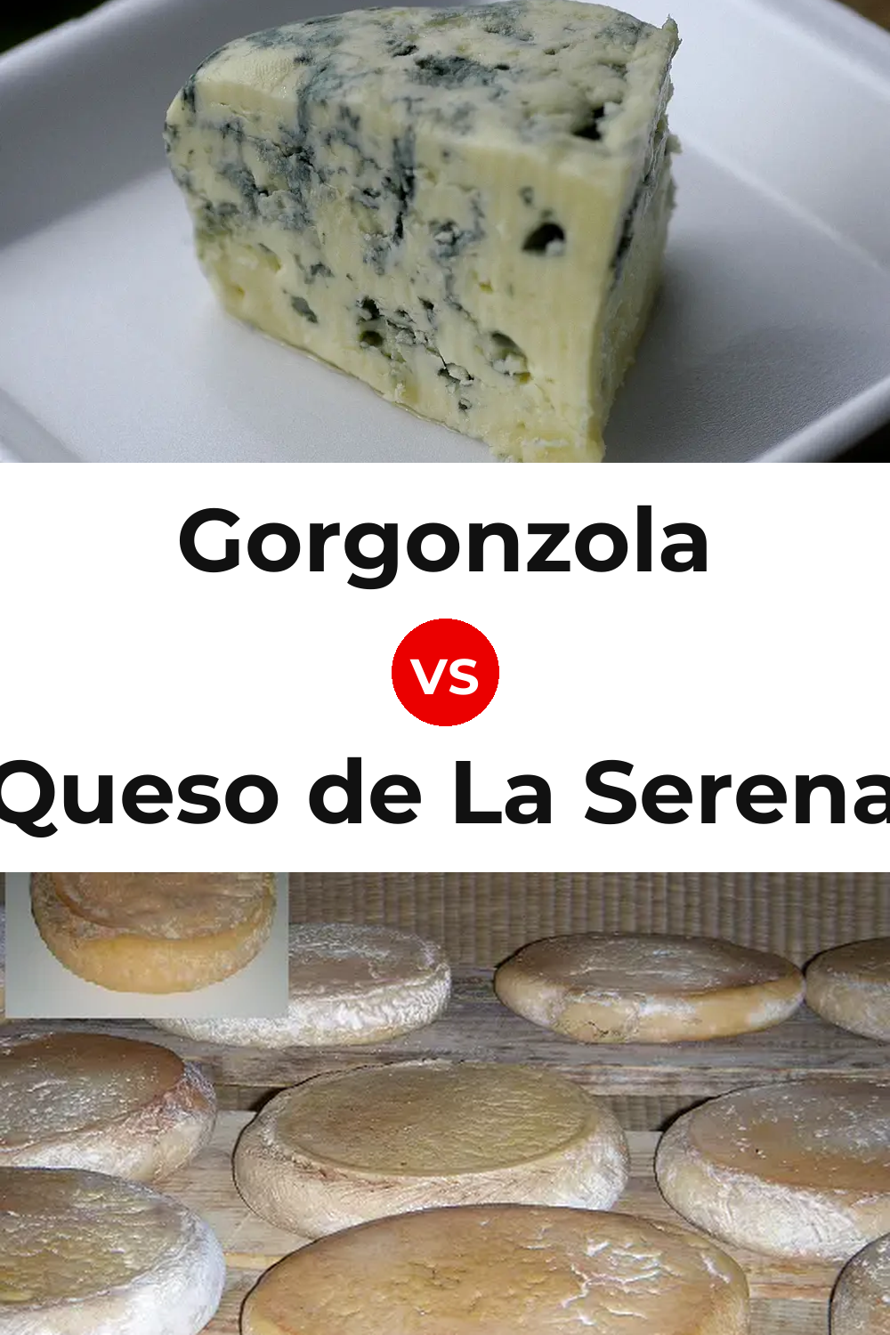 Gorgonzola Cheese vs Queso de La Serena Pinterest comparison