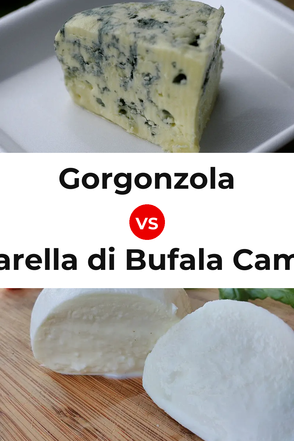 Gorgonzola Cheese vs Mozzarella di Bufala Campana Cheese Pinterest comparison