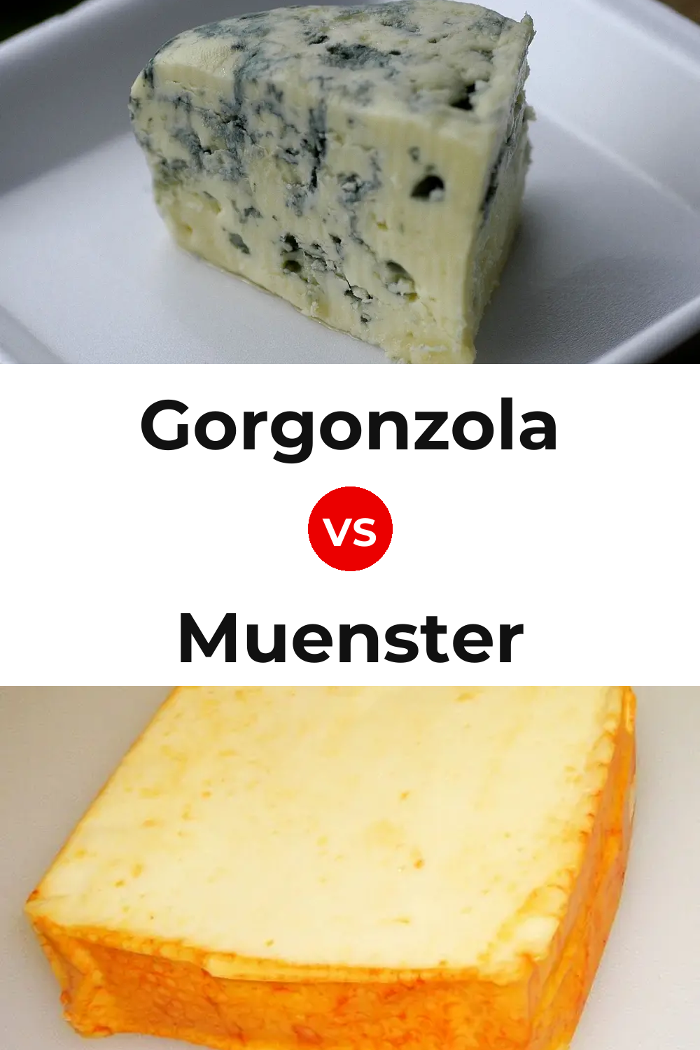 Gorgonzola Cheese vs Muenster Cheese Pinterest comparison