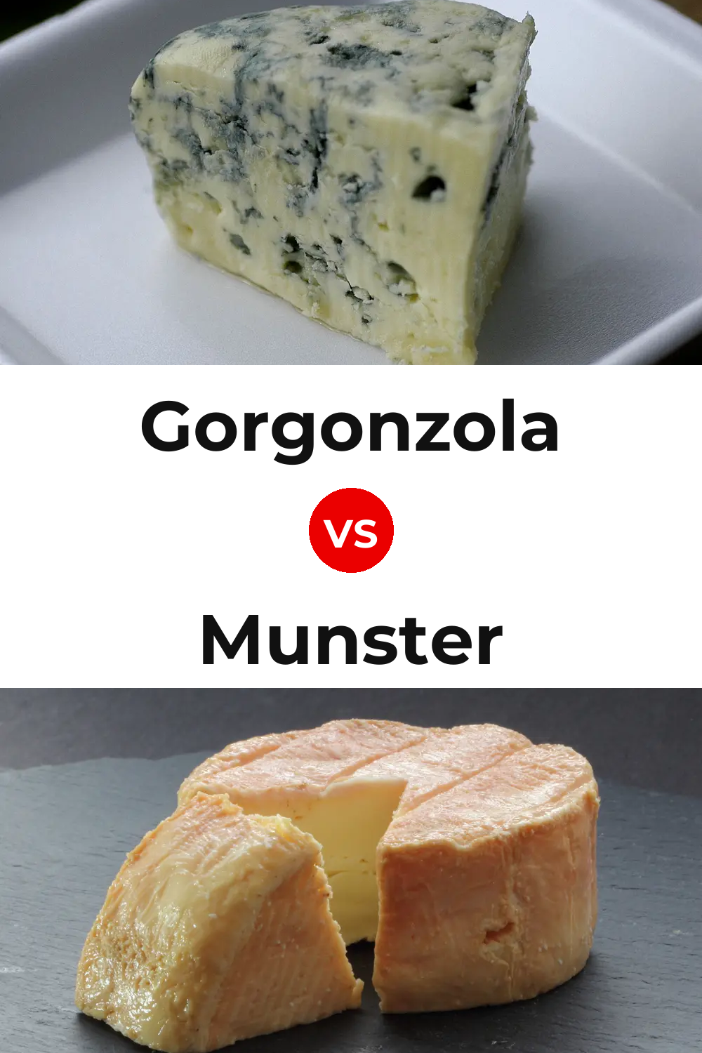Gorgonzola Cheese vs Munster Cheese Pinterest comparison