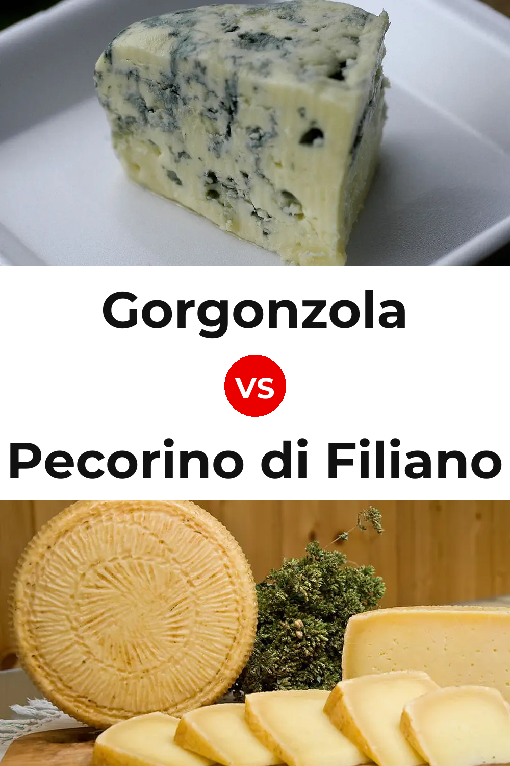 Gorgonzola Cheese vs Pecorino di Filiano Cheese Pinterest comparison