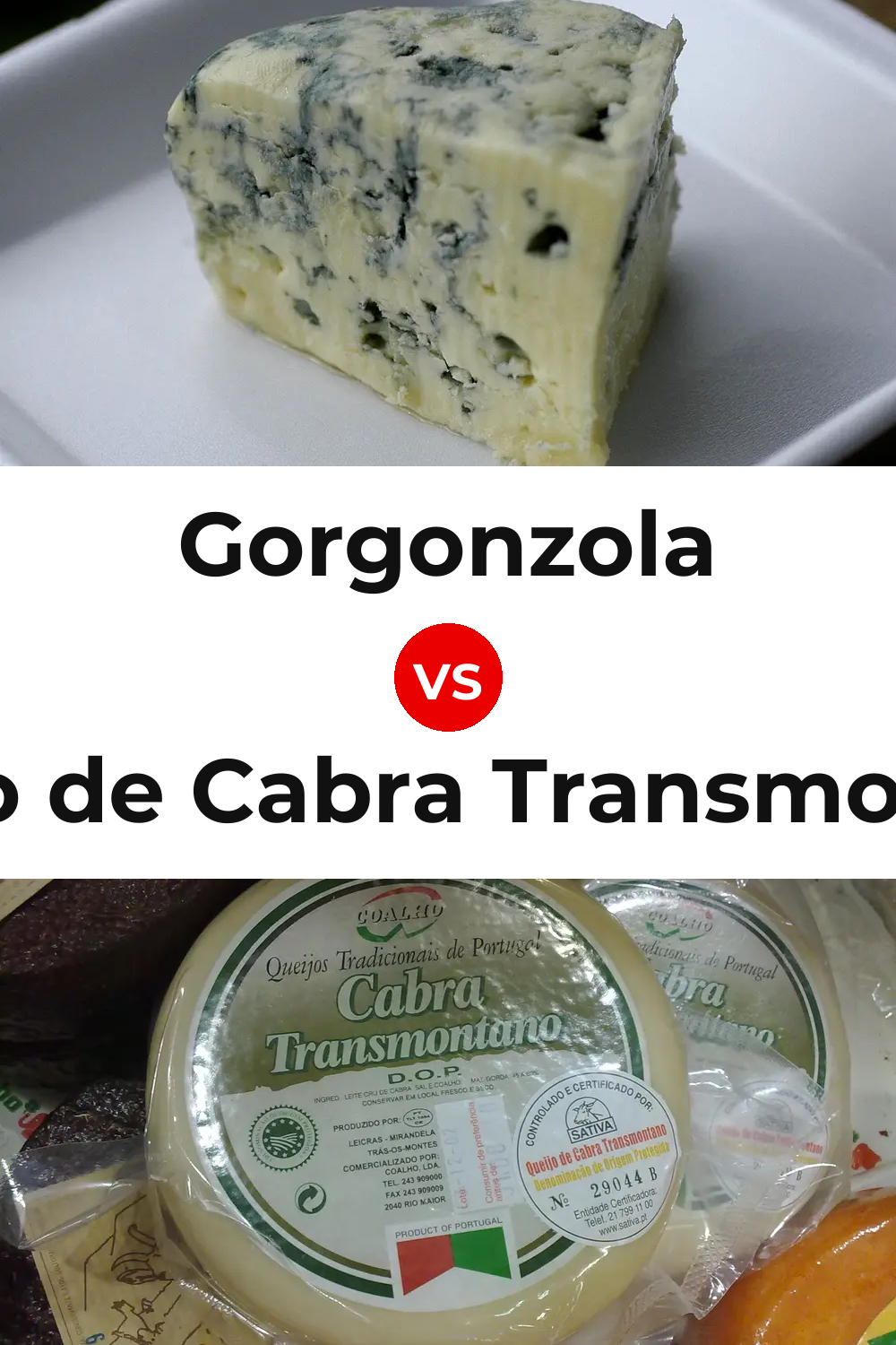 Gorgonzola Cheese vs Queijo de Cabra Transmontano Pinterest comparison