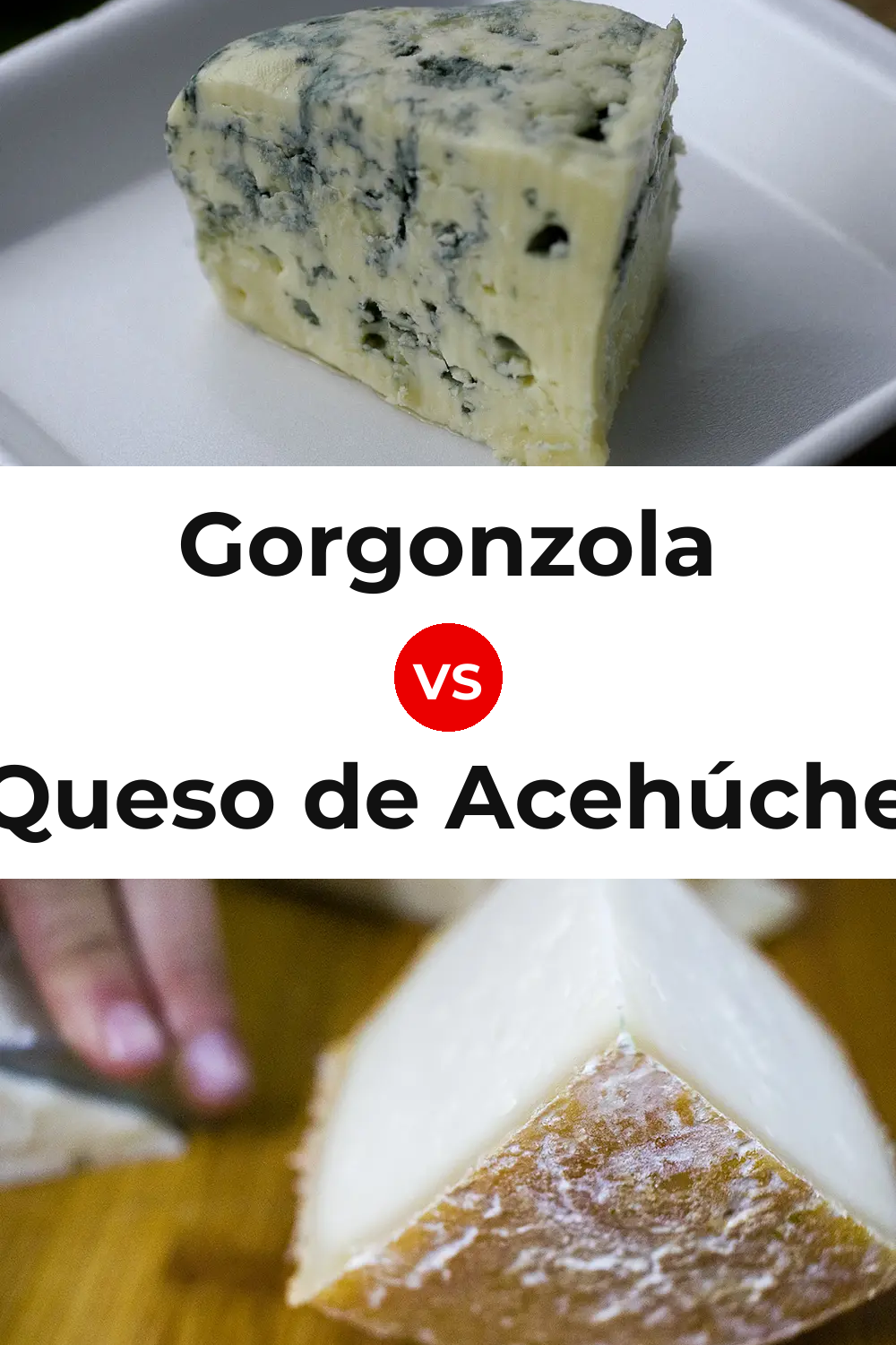 Gorgonzola Cheese vs Queso de Acehúche Pinterest comparison