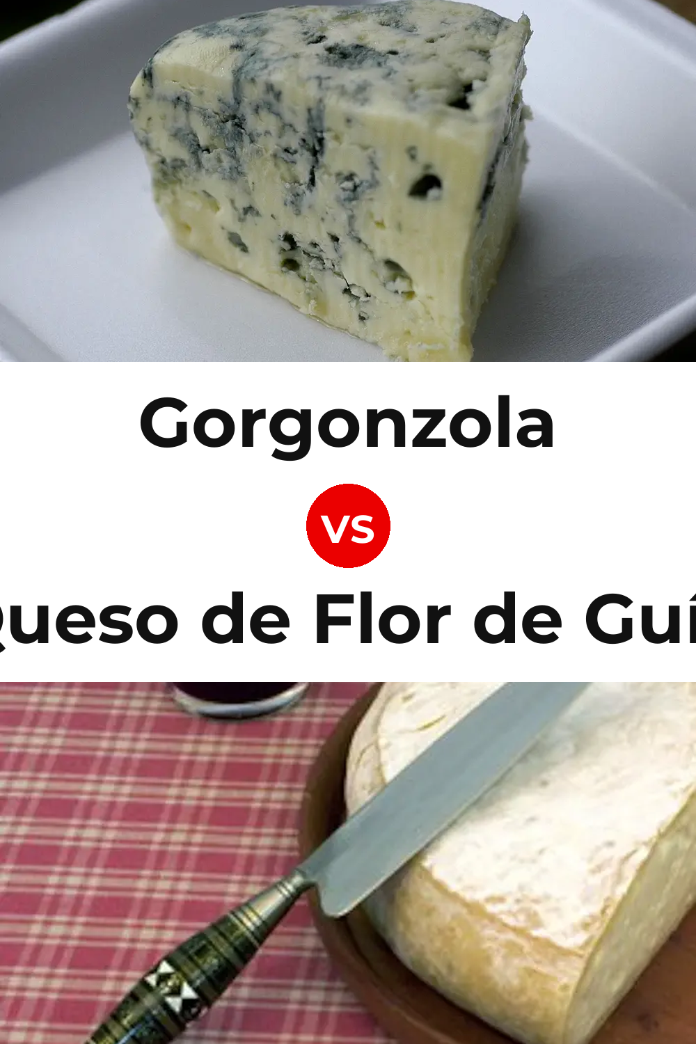 Gorgonzola Cheese vs Queso de Flor de Guía Pinterest comparison