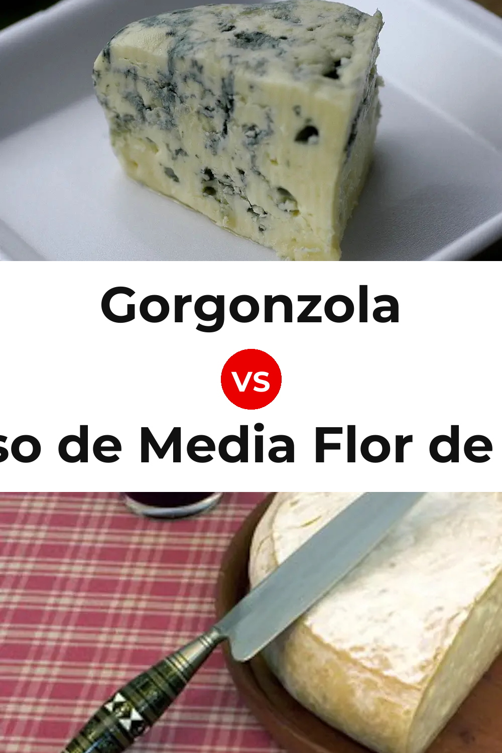 Gorgonzola Cheese vs Queso de Media Flor de Guía Pinterest comparison
