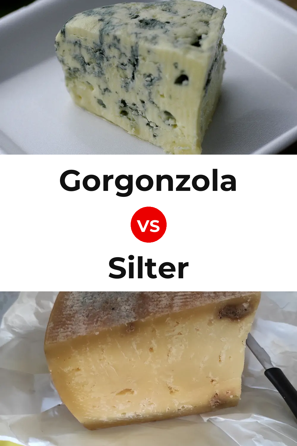 Gorgonzola Cheese vs Silter Cheese Pinterest comparison
