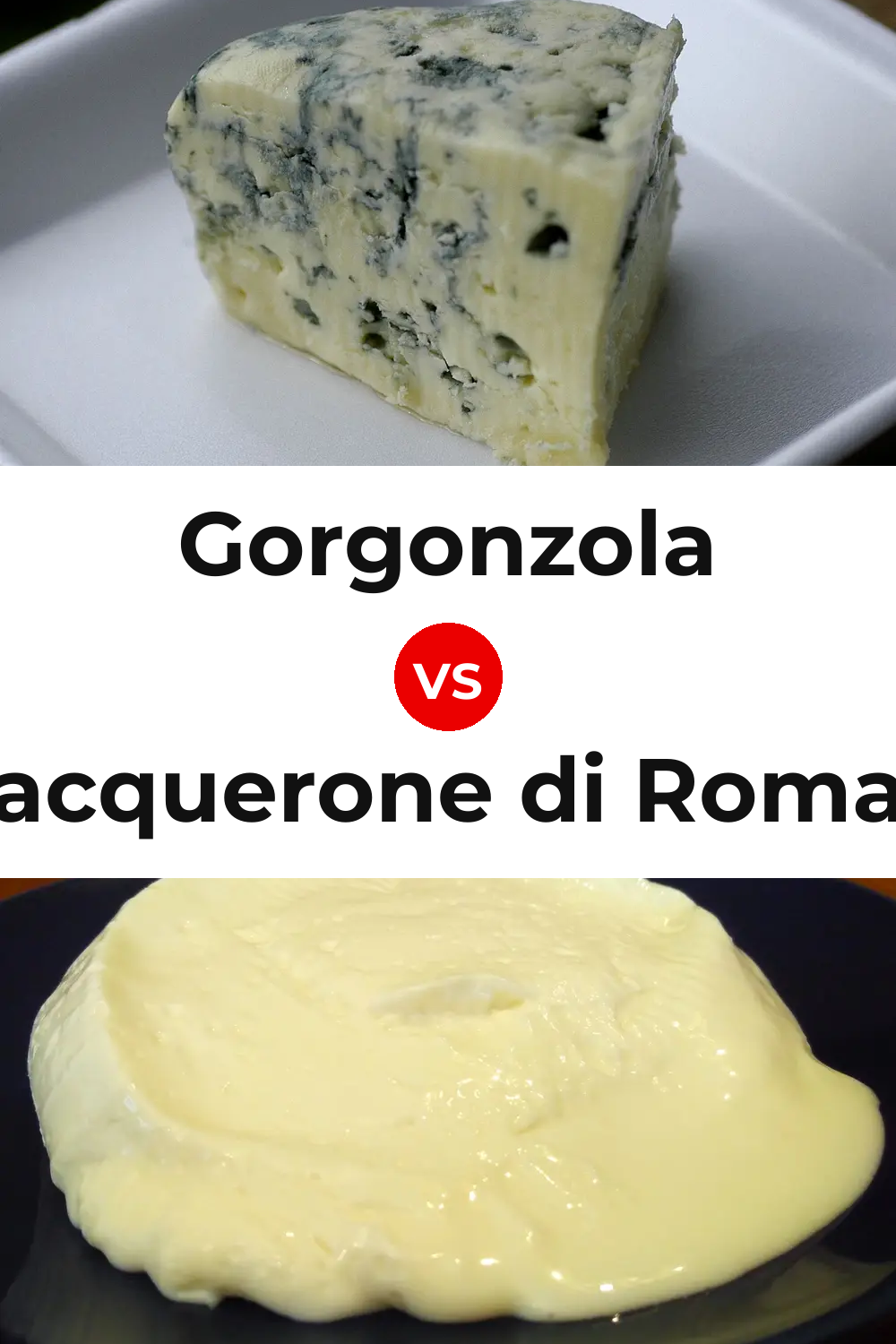 Gorgonzola Cheese vs Squacquerone di Romagna Cheese Pinterest comparison
