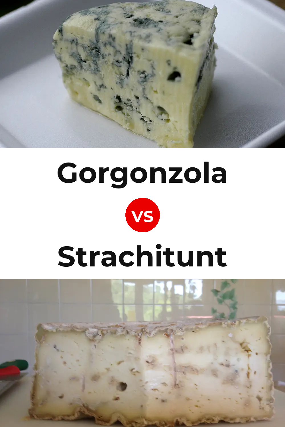 Gorgonzola Cheese vs Strachitunt Cheese Pinterest comparison