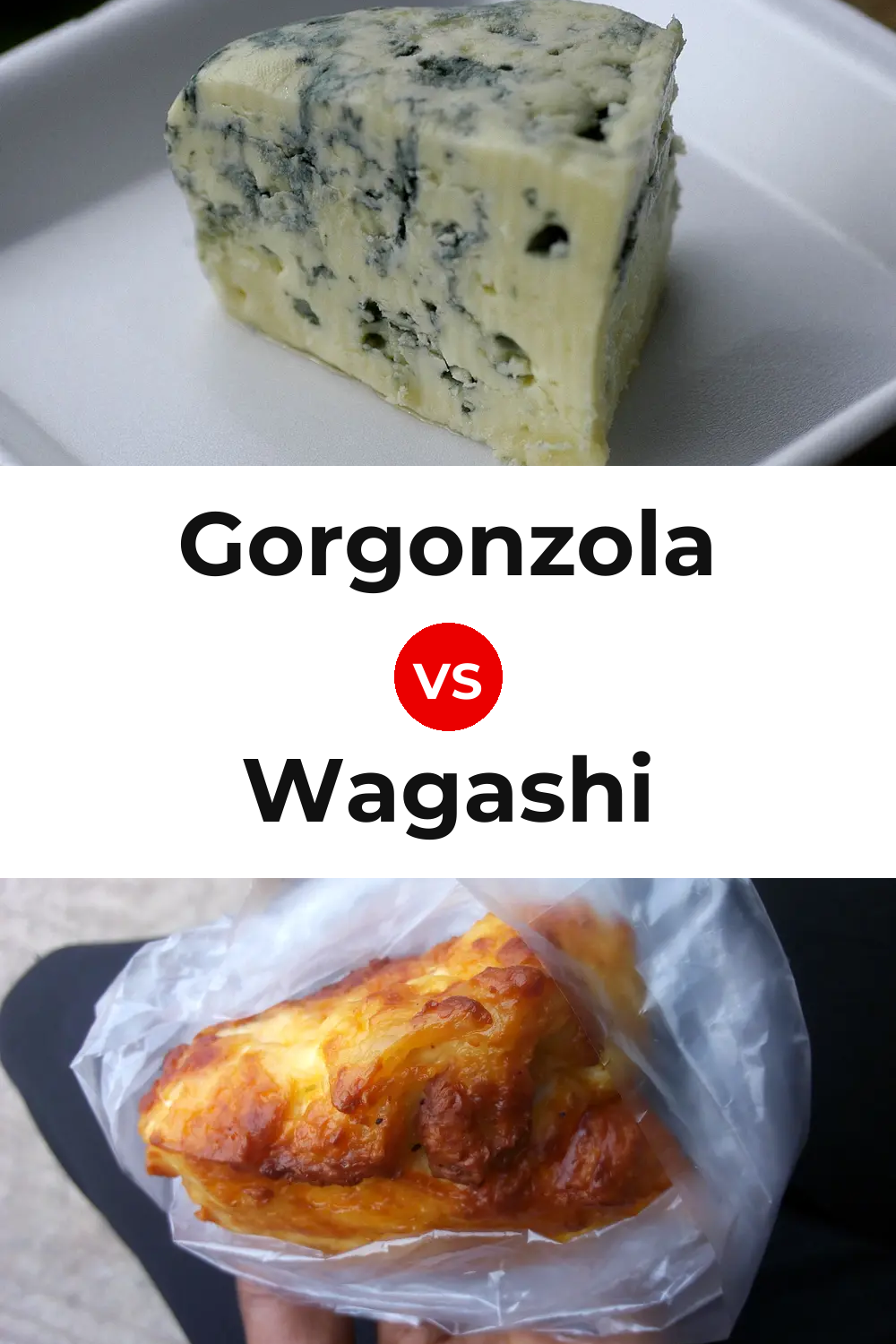 Gorgonzola Cheese vs Wagashi Cheese Pinterest comparison