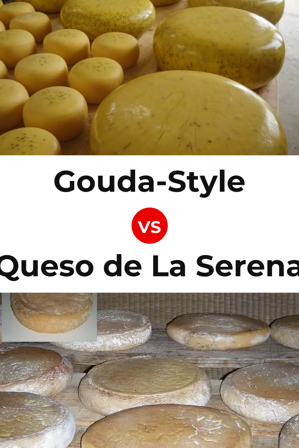 Gouda-Style Cheese vs Queso de La Serena Pinterest comparison