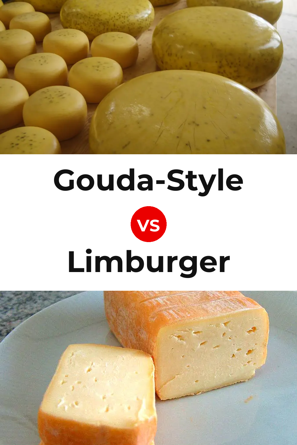 Gouda-Style Cheese vs Limburger Cheese Pinterest comparison