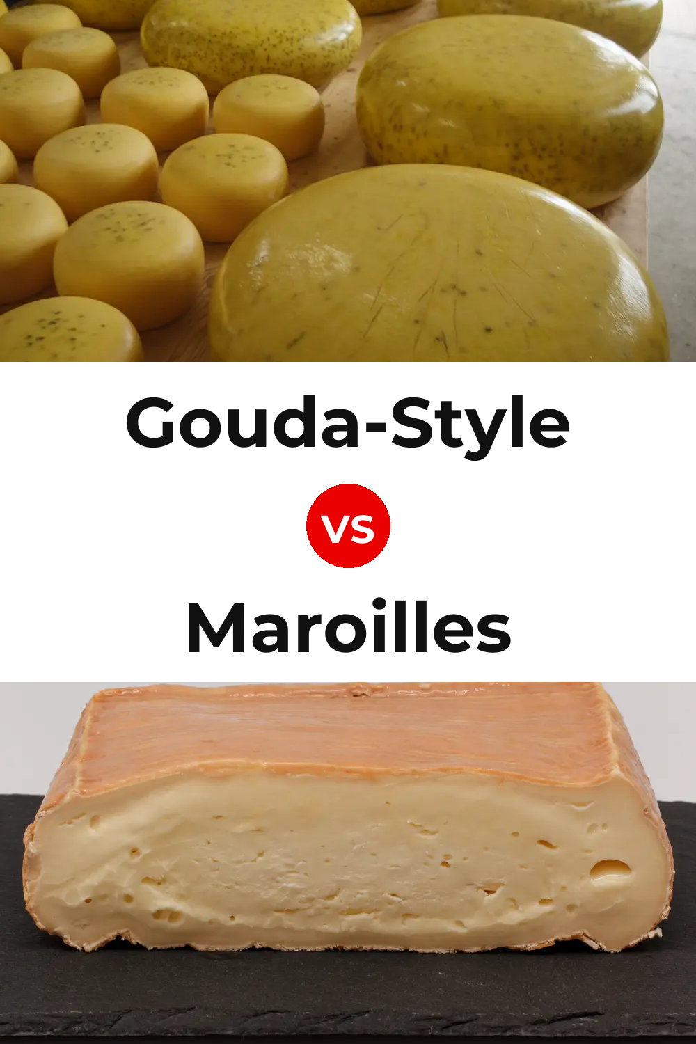 Gouda-Style Cheese vs Maroilles Cheese Pinterest comparison