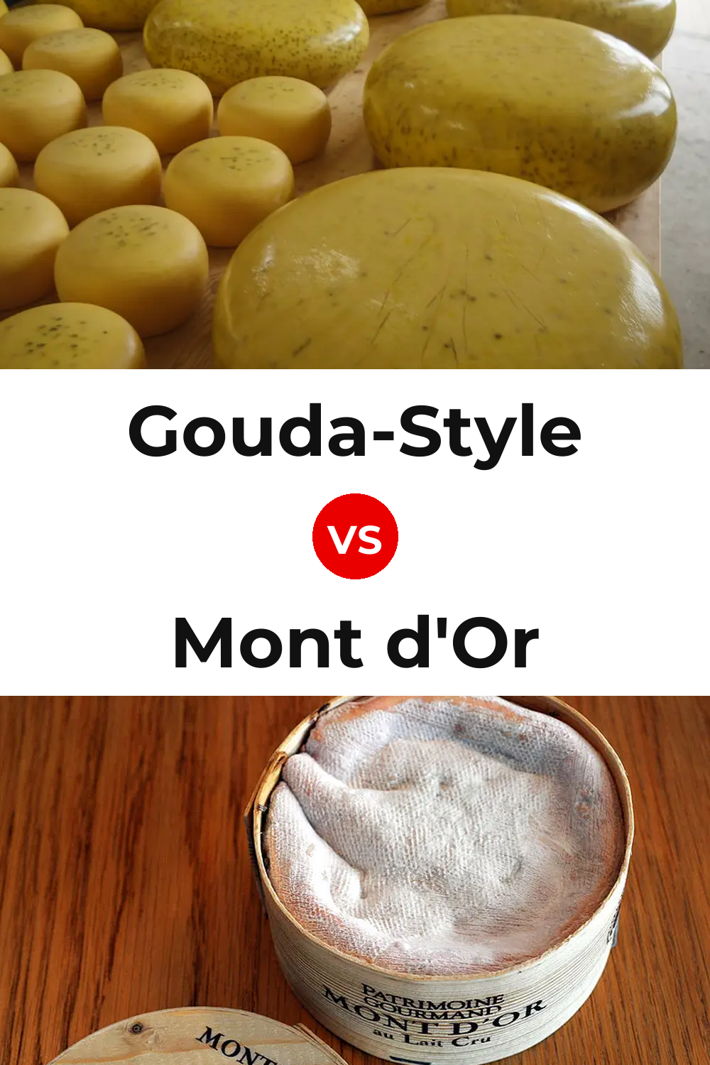 Gouda-Style Cheese vs Mont d'Or Cheese Pinterest comparison