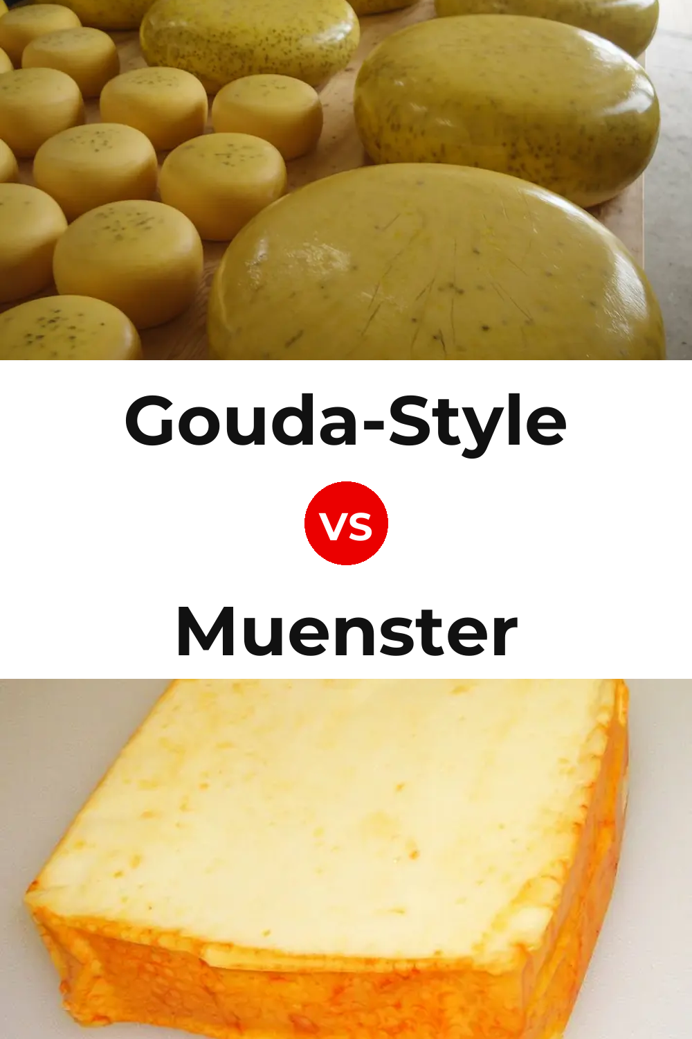 Gouda-Style Cheese vs Muenster Cheese Pinterest comparison