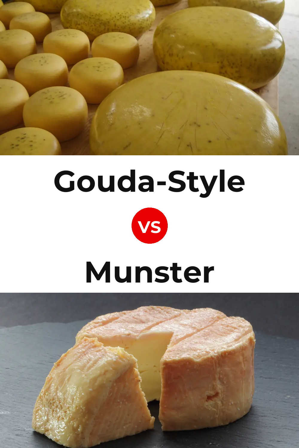 Gouda-Style Cheese vs Munster Cheese Pinterest comparison
