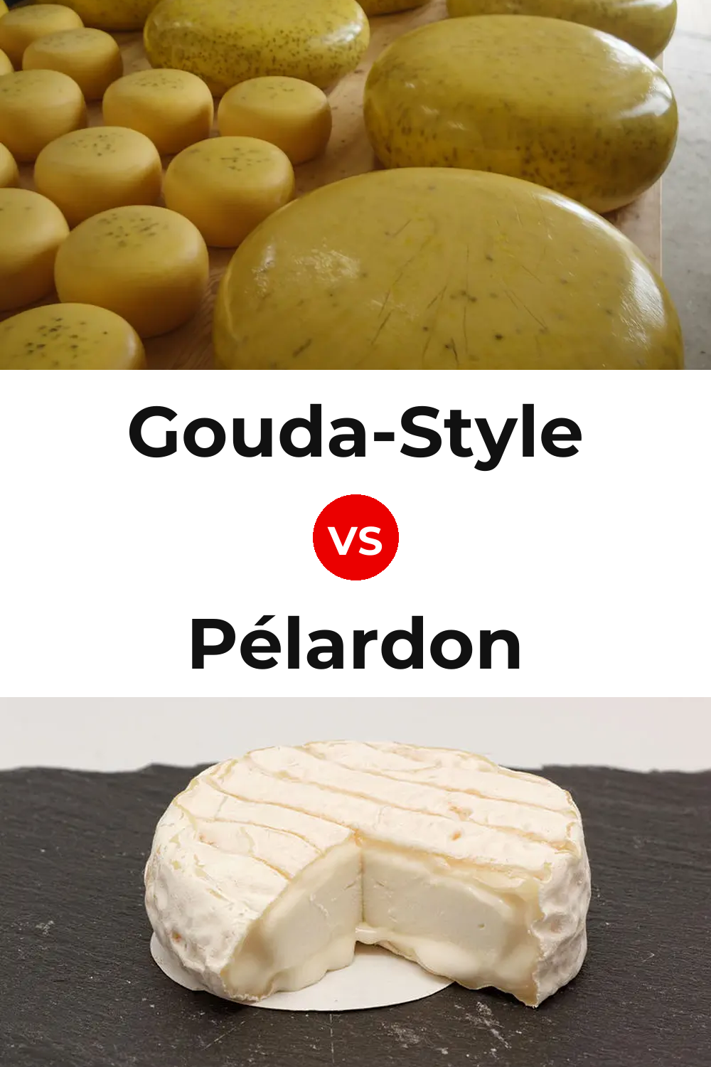 Gouda-Style Cheese vs Pélardon Cheese Pinterest comparison