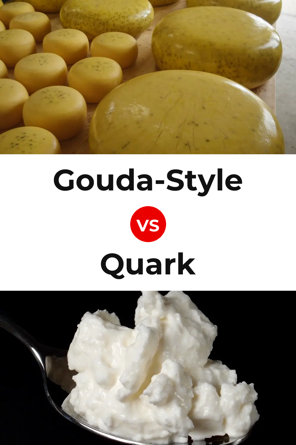 Gouda-Style Cheese vs Quark Cheese Pinterest comparison