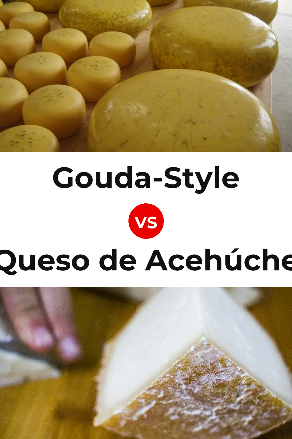 Gouda-Style Cheese vs Queso de Acehúche Pinterest comparison