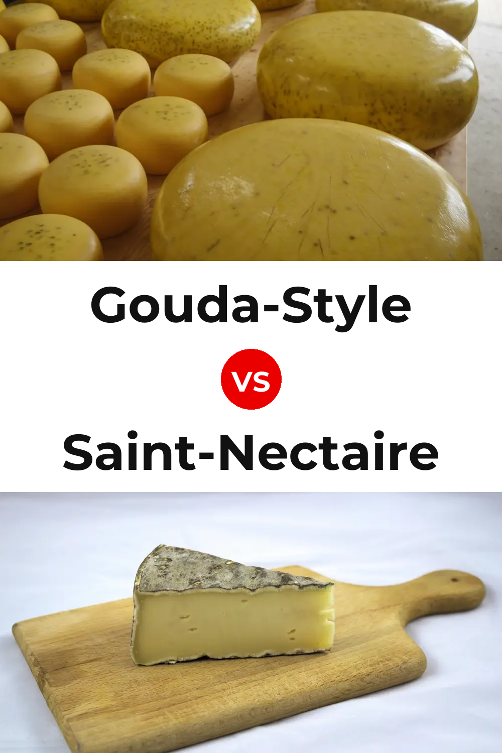 Gouda-Style Cheese vs Saint-Nectaire Cheese Pinterest comparison