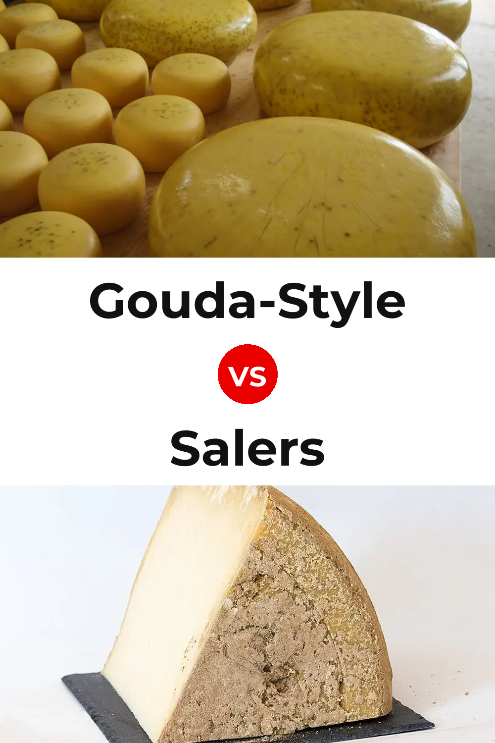 Gouda-Style Cheese vs Salers Cheese Pinterest comparison
