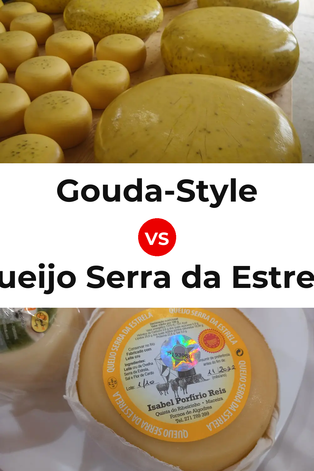 Gouda-Style Cheese vs Queijo Serra da Estrela Pinterest comparison