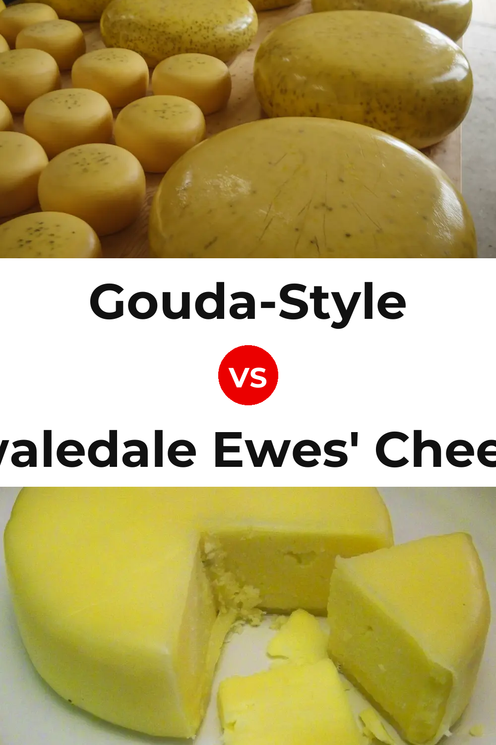 Gouda-Style Cheese vs Swaledale Ewes' Cheese Pinterest comparison