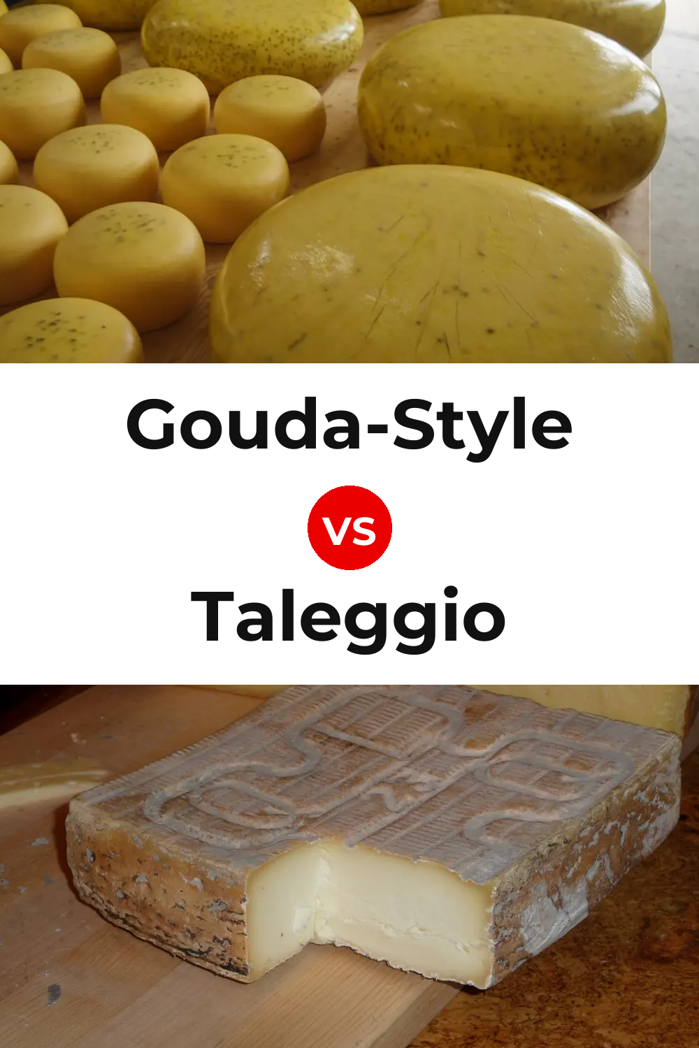 Gouda-Style Cheese vs Taleggio Cheese Pinterest comparison