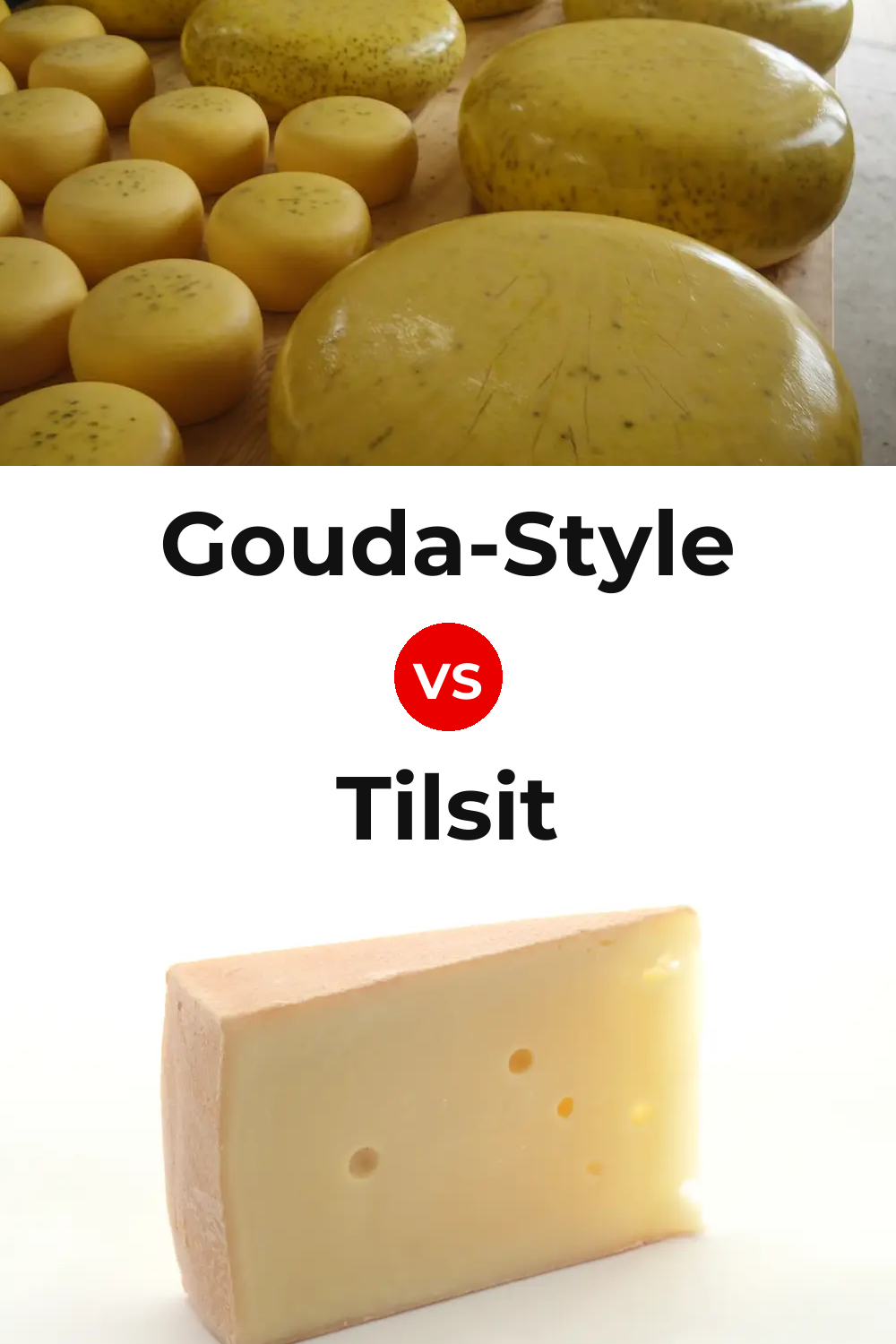 Gouda-Style Cheese vs Tilsit Cheese Pinterest comparison