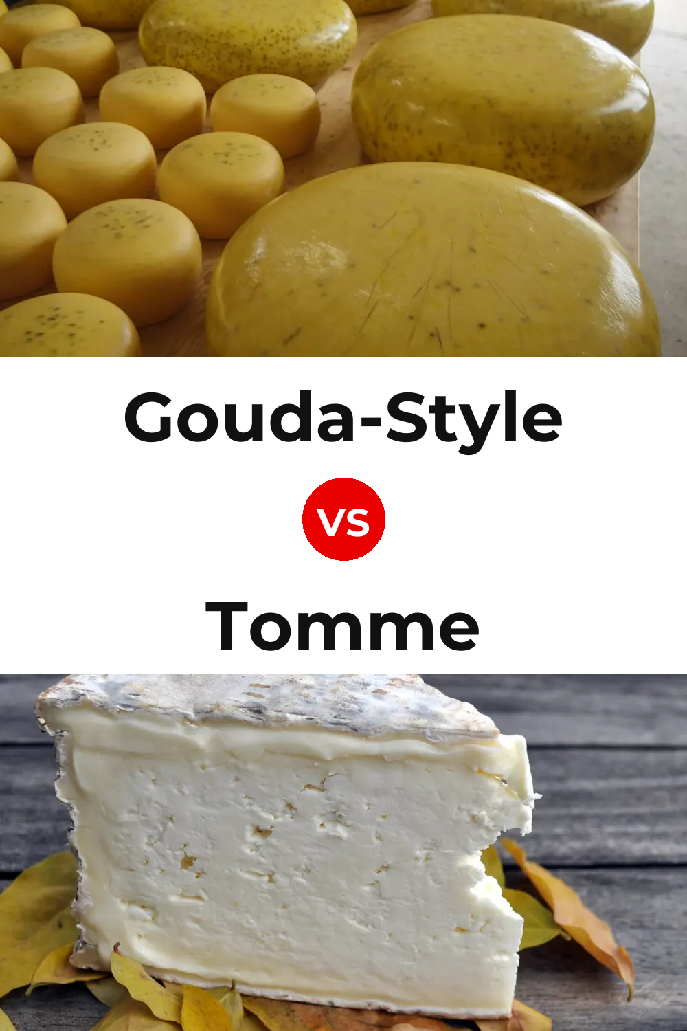 Gouda-Style Cheese vs Tomme Cheese Pinterest comparison