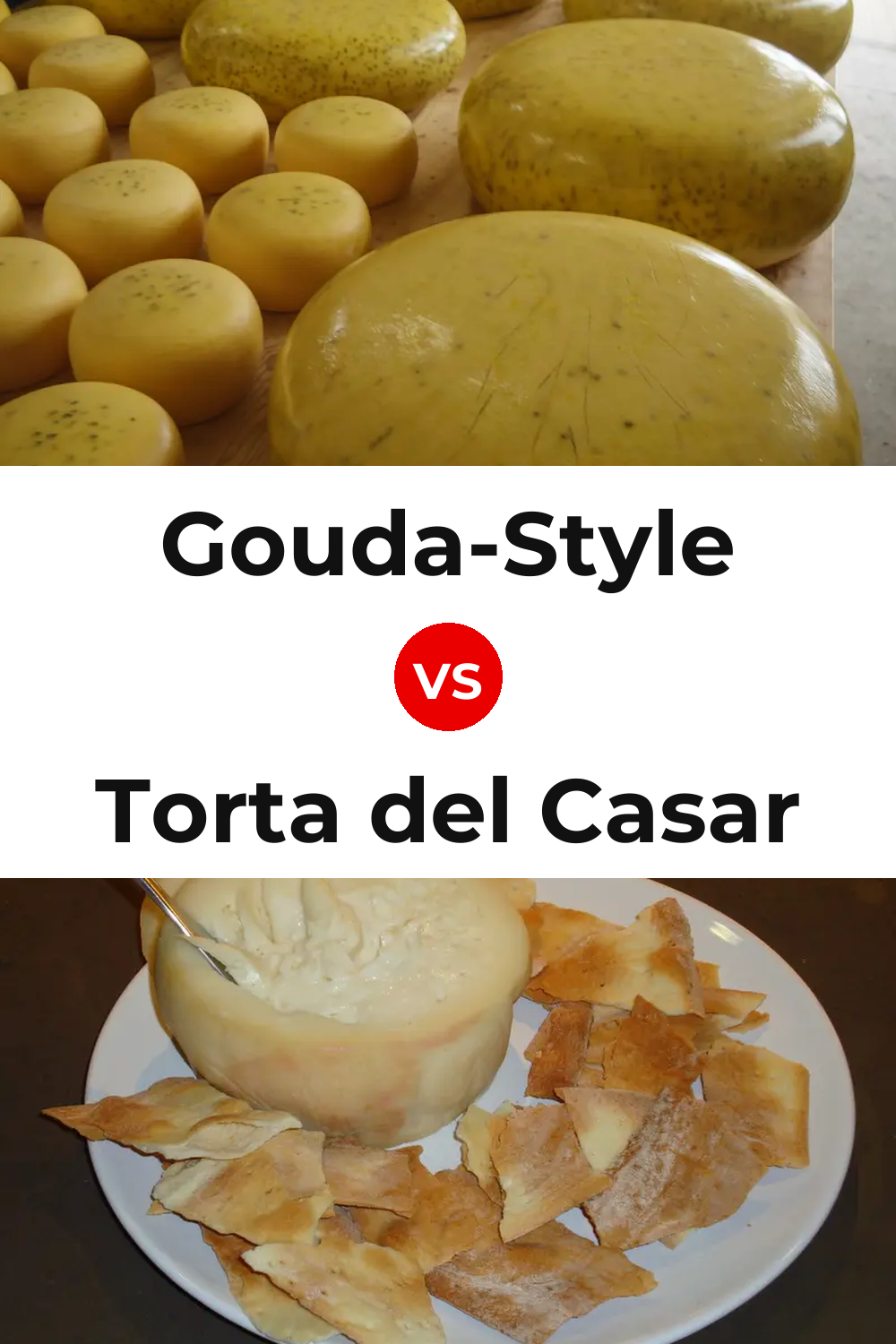 Gouda-Style Cheese vs Torta del Casar Cheese Pinterest comparison
