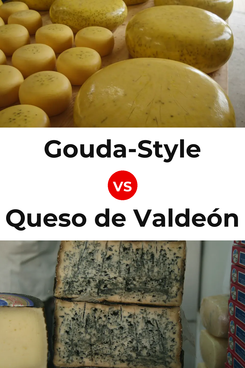 Gouda-Style Cheese vs Queso de Valdeón Pinterest comparison
