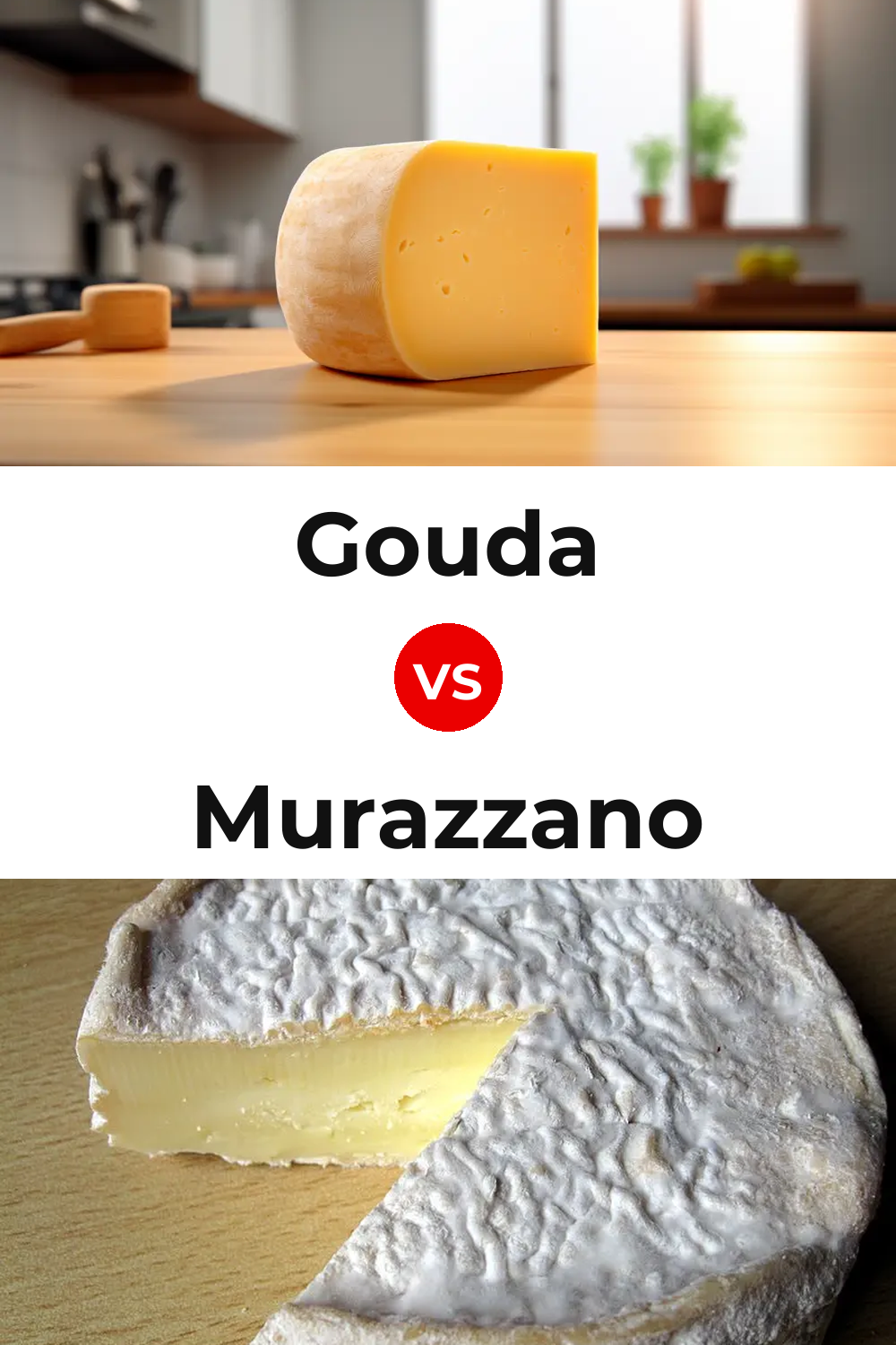 Gouda Cheese vs Murazzano Cheese Pinterest comparison