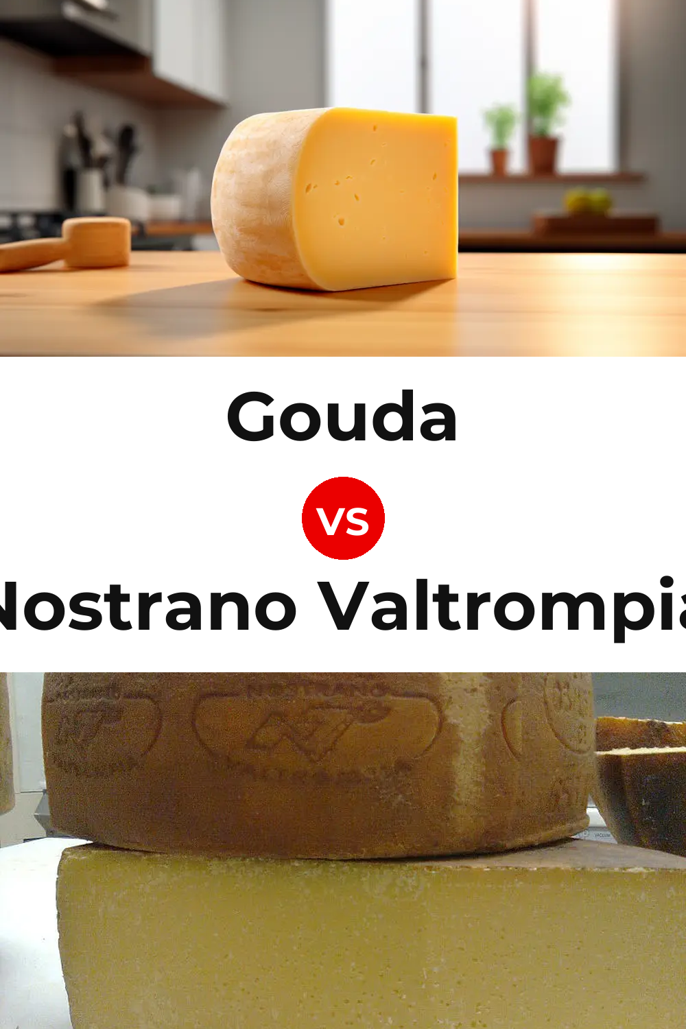 Gouda Cheese vs Nostrano Valtrompia Cheese Pinterest comparison