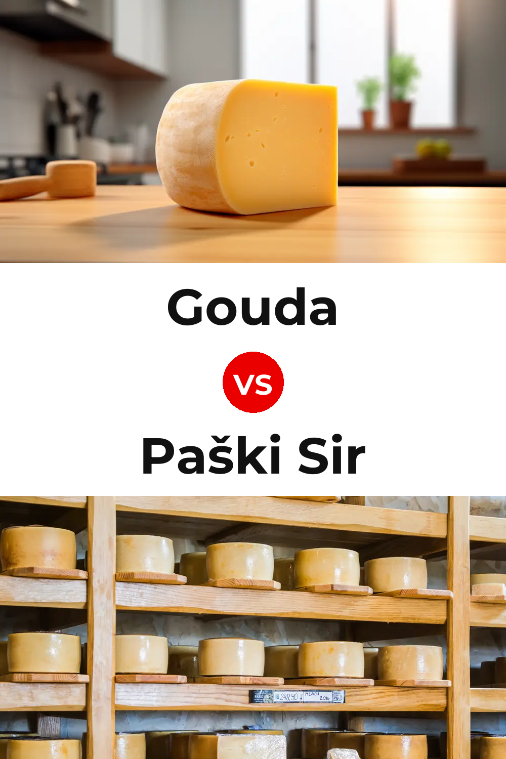 Gouda Cheese vs Paški Sir Cheese Pinterest comparison