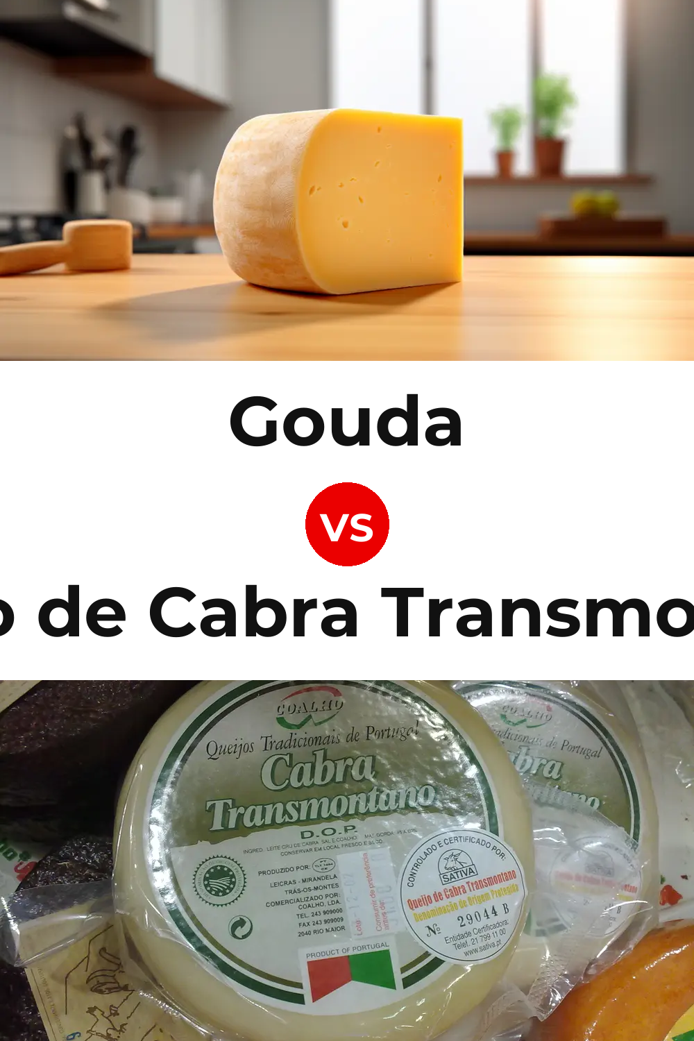 Gouda Cheese vs Queijo de Cabra Transmontano Pinterest comparison