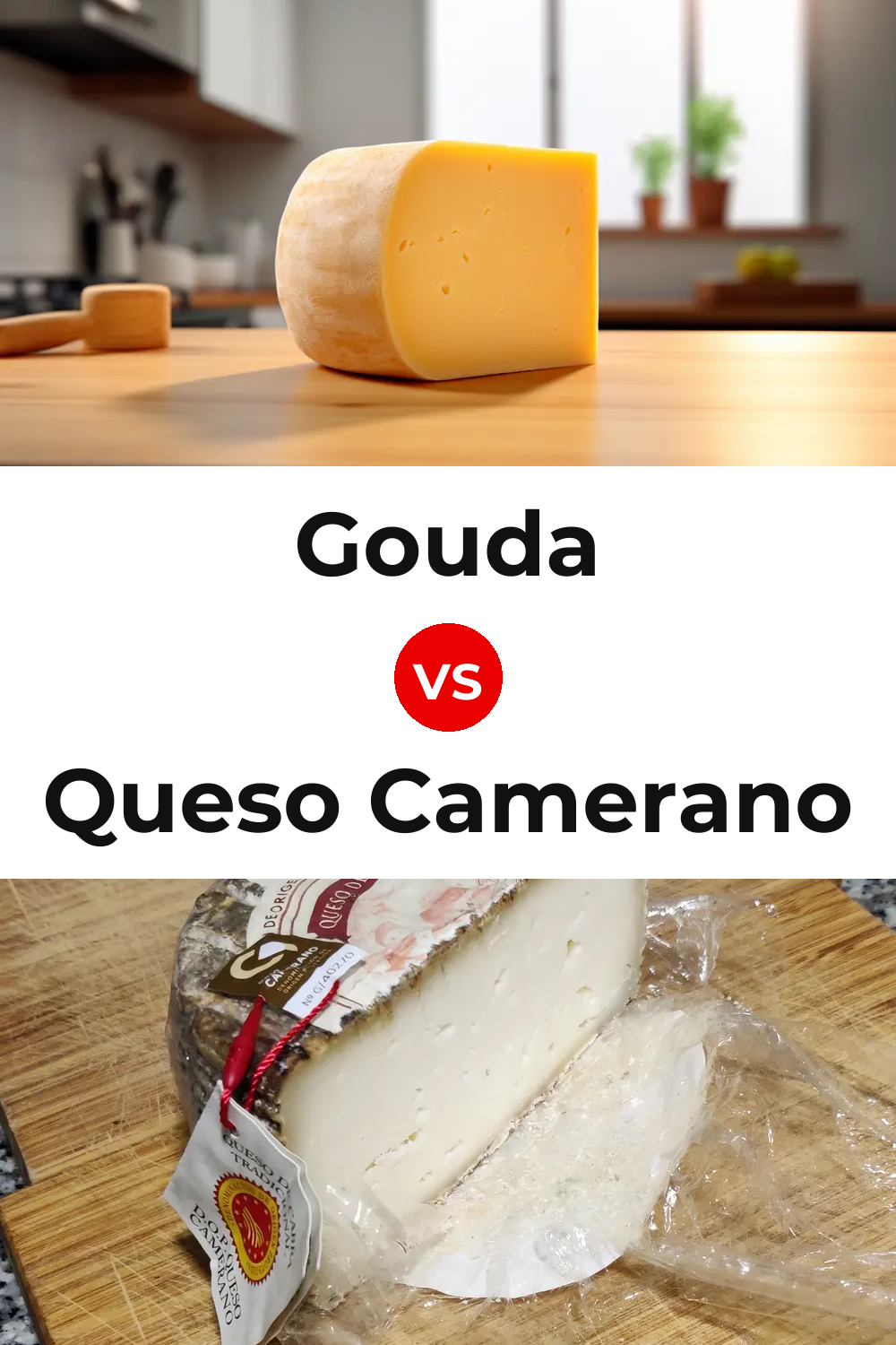 Gouda Cheese vs Queso Camerano Pinterest comparison